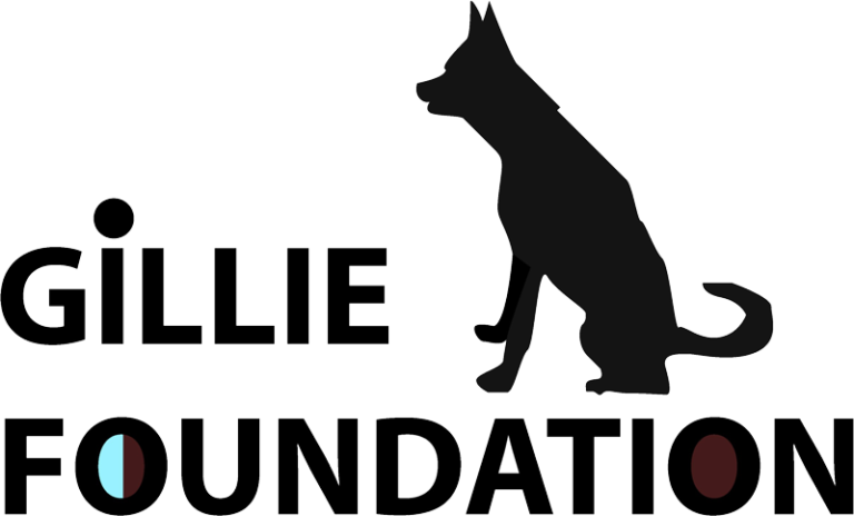 Gillie Foundation