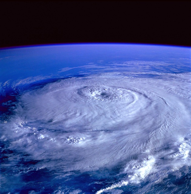 Cropped image