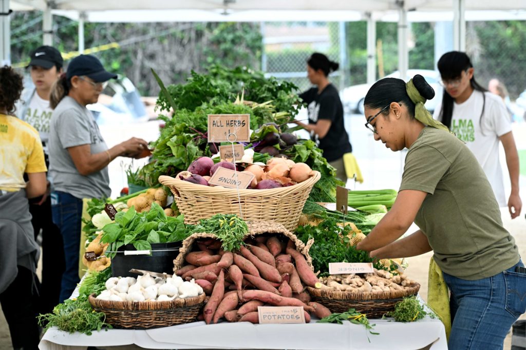 Alma Backyard Farms
