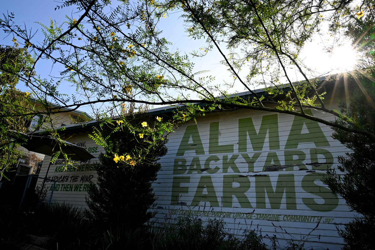 Alma Backyard Farms