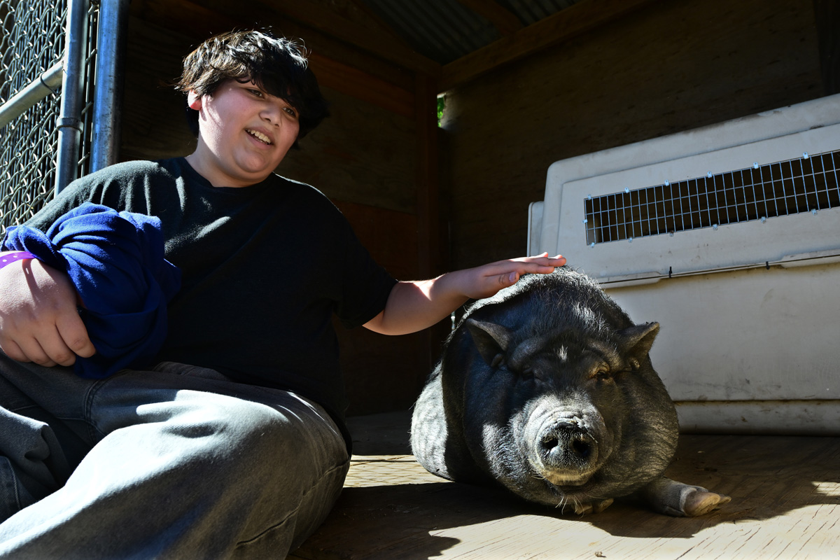 Wildfire Survivors – People and Animals – Heal Each Other at Big Heart Ranch