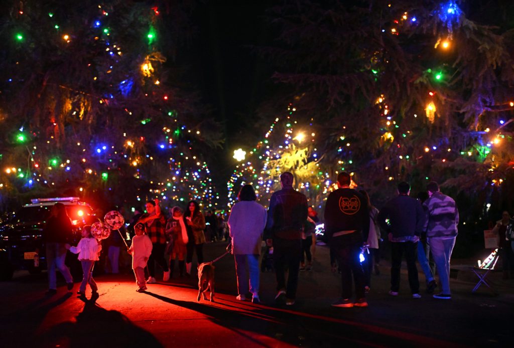 Holiday lights, Photo by Wally Skalji