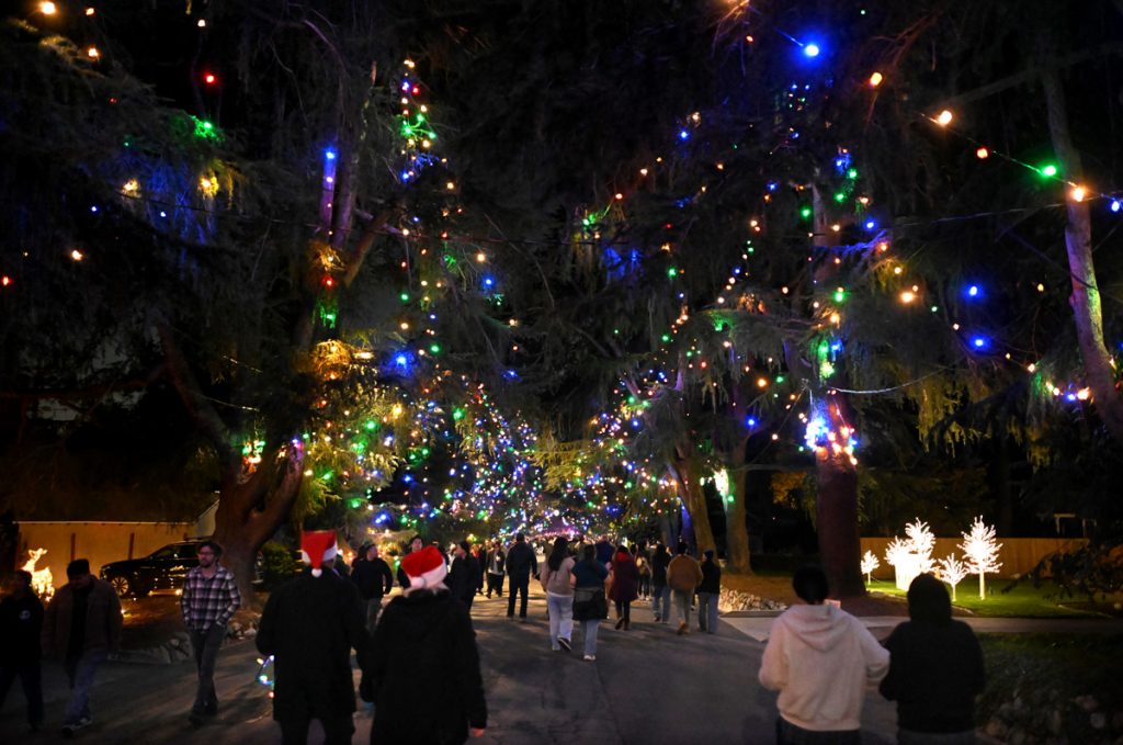 Holiday lights, Photo by Wally Skalji