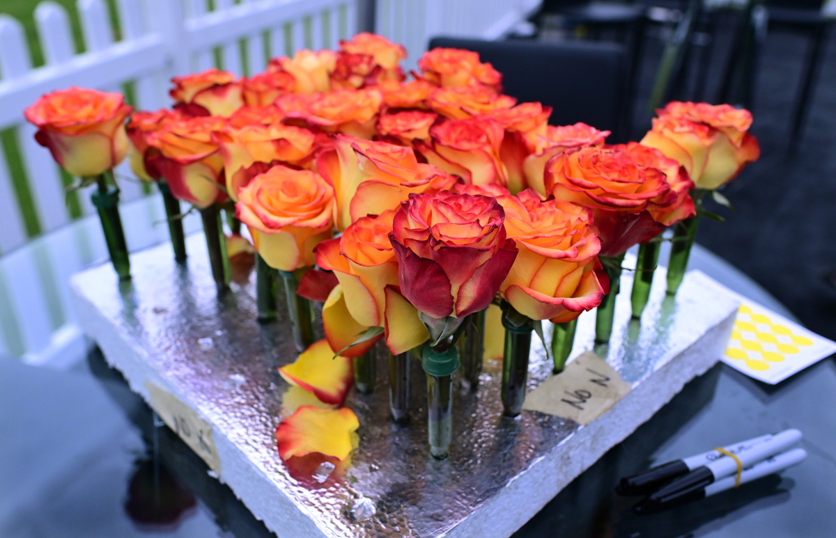 Rose Parade® Float 2026