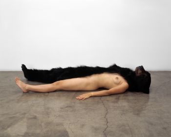 Bear Head, Arm and Leg Study 1, 32” x 40”, C-Print, 2004 Carlee Fernandez