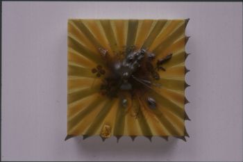 Leprechaun`s Gold Formula, 2007, 9 x 9 in., Oil on canvas on panel Linda Stark