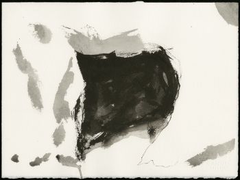 Drawing of a Cave, 2006, 11 x 15 in., Ink on paper Mary K. Weatherford