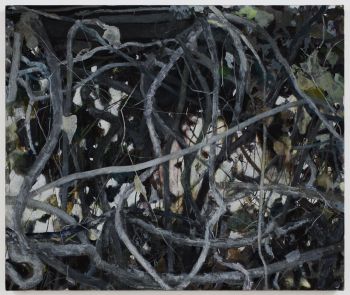 Vines, 2007, 37 x 44 in., Flashe on linen Mary K. Weatherford