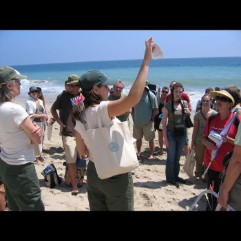 Malibu Safari: Trailblazing the Public-Private Boundary, 2007, mixed, 18 x 12 in. Sara Daleiden