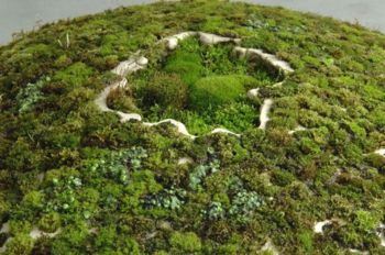 Untitled, detail, 2009, ceramic, moss, 10 x 27 x 23 in. Mineo Mizuno