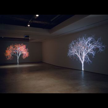 Rock Formation, 2006, 3 video projectors, 4 computers, 24 x 68 in. Jennifer Steinkamp
