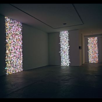 Left Humerus, 2008, 2 video projectors, 2 computers, 10 x 13 x 13 in. Jennifer Steinkamp