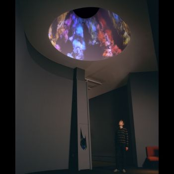 Oculus Sinister (Left Eye), 2008, 2 video projectors, 2 computers, 8 x 10 x 10 in. Jennifer Steinkamp