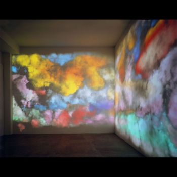 White Wedding, 2008, video projectors, computers, 14 x 9 in. Jennifer Steinkamp