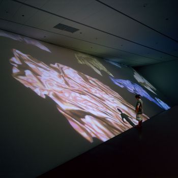 Dervish, 2004, video projectors, computers, 12 x 16 in. Jennifer Steinkamp