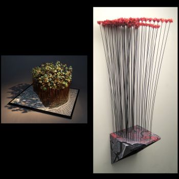 Selections from `Signs of Life`, 2007, Archival ultra-chrome prints and model trees, 48 in. x 12 in. x 12 in. Kim Abeles
