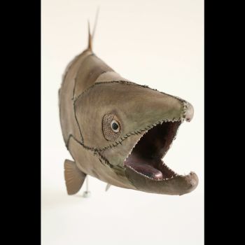 Graft (Salmon), 2006, Shark skin, thread, salmon skin and plastic, 4 in. x 12 in. x 36 in. Glenn Kaino