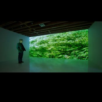 At Any Given Moment, Grass, 2009, Video installation, 8.11 ft. x 21.9 ft. Rebeca Méndez