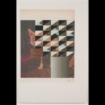 Screen (kit fox), 2009, Gouache, pencil, and collage on archival pigment print, 38.5 in. x 26 in. Kevin Appel
