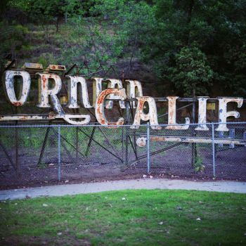 LA Californian-Like, 2007, inkjet print, 30 in. x 30 in. Zoe Crosher
