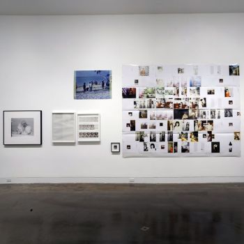 Install at 2010 California Biennial, 2010, photography installation, 25 ft. x 35 ft. Zoe Crosher