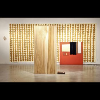 A Series of Antecedents, 2010, mixed media, 10 ft. x 18 ft. x 8 ft. Patricia Fernandez