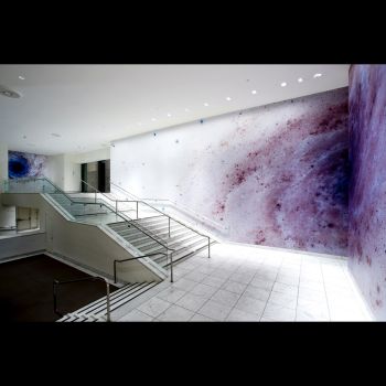 Negative Space Hammer Museum, 2008, photographic murals on three walls, 251 in. x 585 in. x 255 in. Mungo Thomson