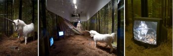 Final Fantasy, 2007, Mixed Media Installation with video Micol Hebron
