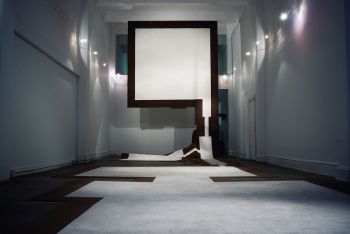 720 sq. Feet: Household Mutations Part B, 2010, Carpet, house-paint, 20 ft. x 13 ft. Carmen Argote