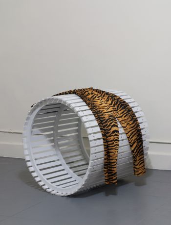 Carmen Argote