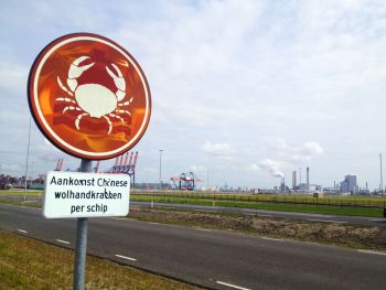 Animal Estates 9.0: Port of Rotterdam, 2012, mixed media: street signs, printed materials, video. Fritz Haeg