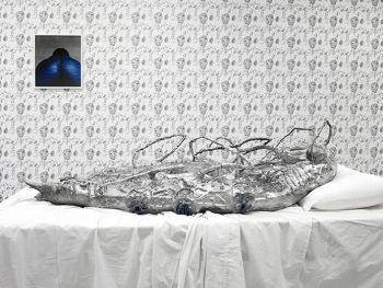 Installation view of The long-lasting intimacy of strangers, 2013, mixed media, custom-printed wallpaper, c-prints, dimensions variable Candice Lin