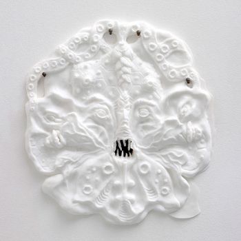 Large Glory Hole (For Ernst Haeckel), 2013, Silicone, 14.5 in. x 15 in. x 1.25 in. Candice Lin