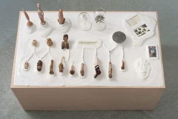 A Future Ethnography of Power, 2012, Mixed media (silicone, wood, carved and dried root vegetables, resin clay, etched aluminum and revolving motor, paper, glass, pressed plants, string, herbs), 33 in. x 65 in. x 40 in. Candice Lin
