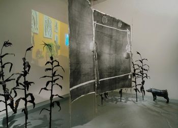 Installation view of It Makes the Patient See Pictures, 2012, mixed media, dimensions variable Candice Lin