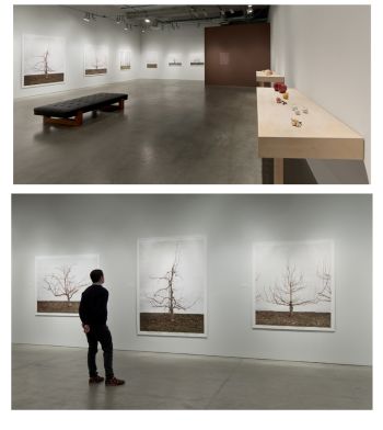 Installation view of take me to the apple breeder, 2012. Jessica Rath