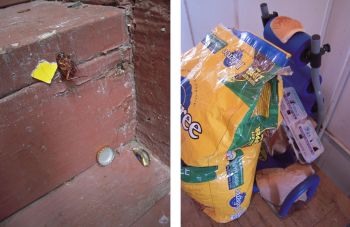Droppings in habitat, 2009, Photographs Jim Skuldt