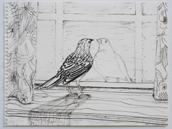 Bird Looking at Reflection 2015, ink on paper, 11 in x 14 in Alyse Emdur