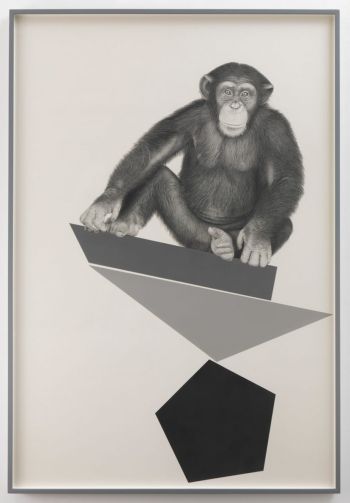 Orren (M-S #1), 2015, pencil and enamel on paper, 75 x 52 inch Karl Haendel