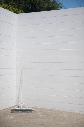 Broom, ‘Gumes and Plum, 2009-2015, cast aluminum, 20 in. x 15 in. x 15 in. Stephanie Taylor
