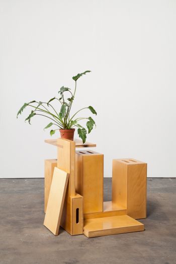 Apple Box Arrangement, Plant, 2015, apple boxes and plant, 38" x 32" x 40” Kerry Tribe