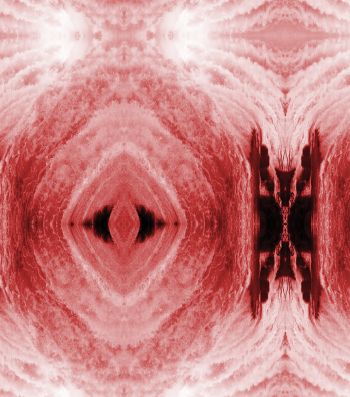 Multiple Clitoris (Detail), 2016, printed cotton canvas, 5 ft. x 42 ft. Carolina Caycedo