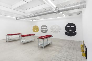 Installation view, STOP BATH, 2016, Michael Jon & Alan, Miami, dimensions variable Amanda Ross-Ho