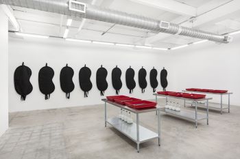 Installation view, STOP BATH, 2016, Michael Jon & Alan, Miami, dimensions variable Amanda Ross-Ho