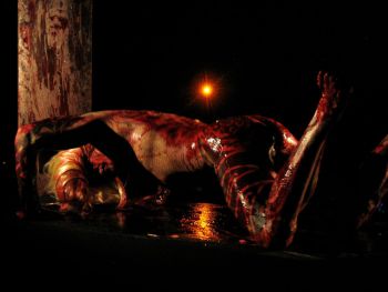 Self-Obliteration; 2011; performance; blonde wigs, blood action, four panes of glass Ron Athey