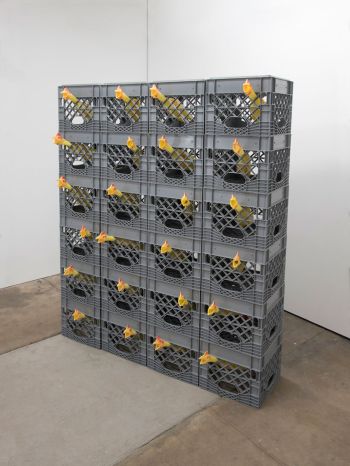 Rubber Chickens and Milk Crates; 2018; rubber chickens, milk crates; 66 in. x 52 in. x 18 in. Gary Cannone
