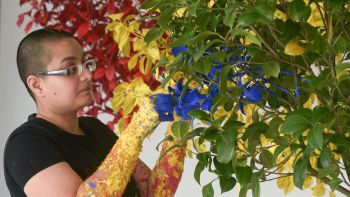 In Leaf (Primary Time); 2015; at Hayward Gallery Project Space; London; UK; live performance; growing trees, video Neha Choksi