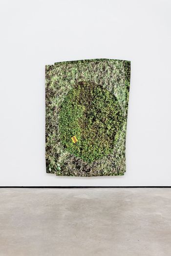 Hedge #1; 2018; aluminum collaged hand printed screen prints; 52 in. x 40 in. x 1.3 in. Kim Fisher