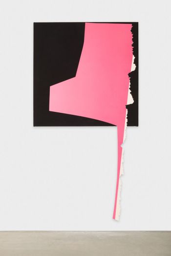 Long Foot Pink; 2017; oil on aluminum on dyed linen; 68 in. x 38 in. Kim Fisher
