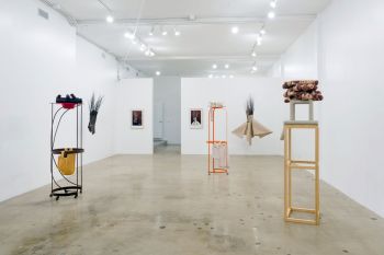 Walking the Walk; 2015; installation shot at LAM Gallery; Los Angeles; mixed media. Photo by Ruben Diaz Phyllis Green